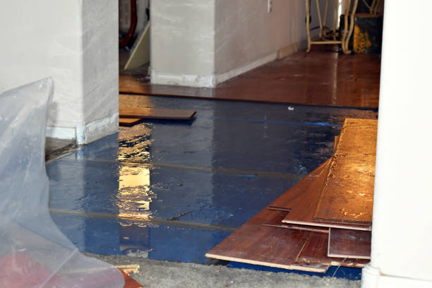 Professional Basement Flood Cleanup technician working in Thompsonville, MI